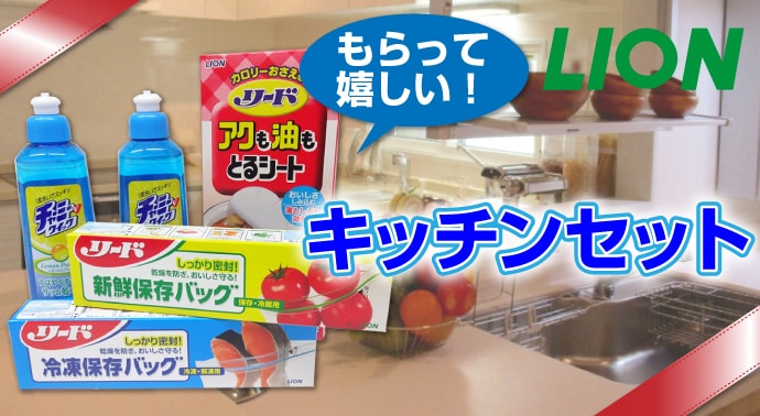 ライオン キッチンセット【現物】