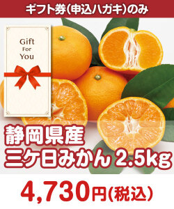 季節限定のフルーツ景品 ＜季節限定＞静岡県産 三ケ日みかん2.5kg
