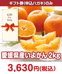 季節限定のフルーツ景品 ＜季節限定＞愛媛県産 いよかん2kg