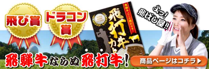 飛打牛(飛騨牛)カレー