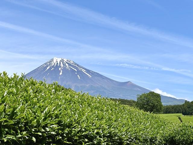 静岡県の有名な人気ご当地グルメおすすめ7選!