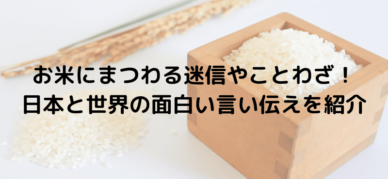 お米にまつわる迷信やことわざ!日本と世界の面白い言い伝えを紹介