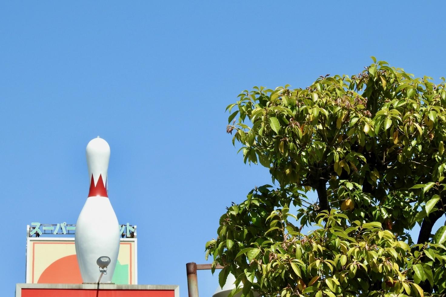 ボウリングは大人のゆるスポーツ！