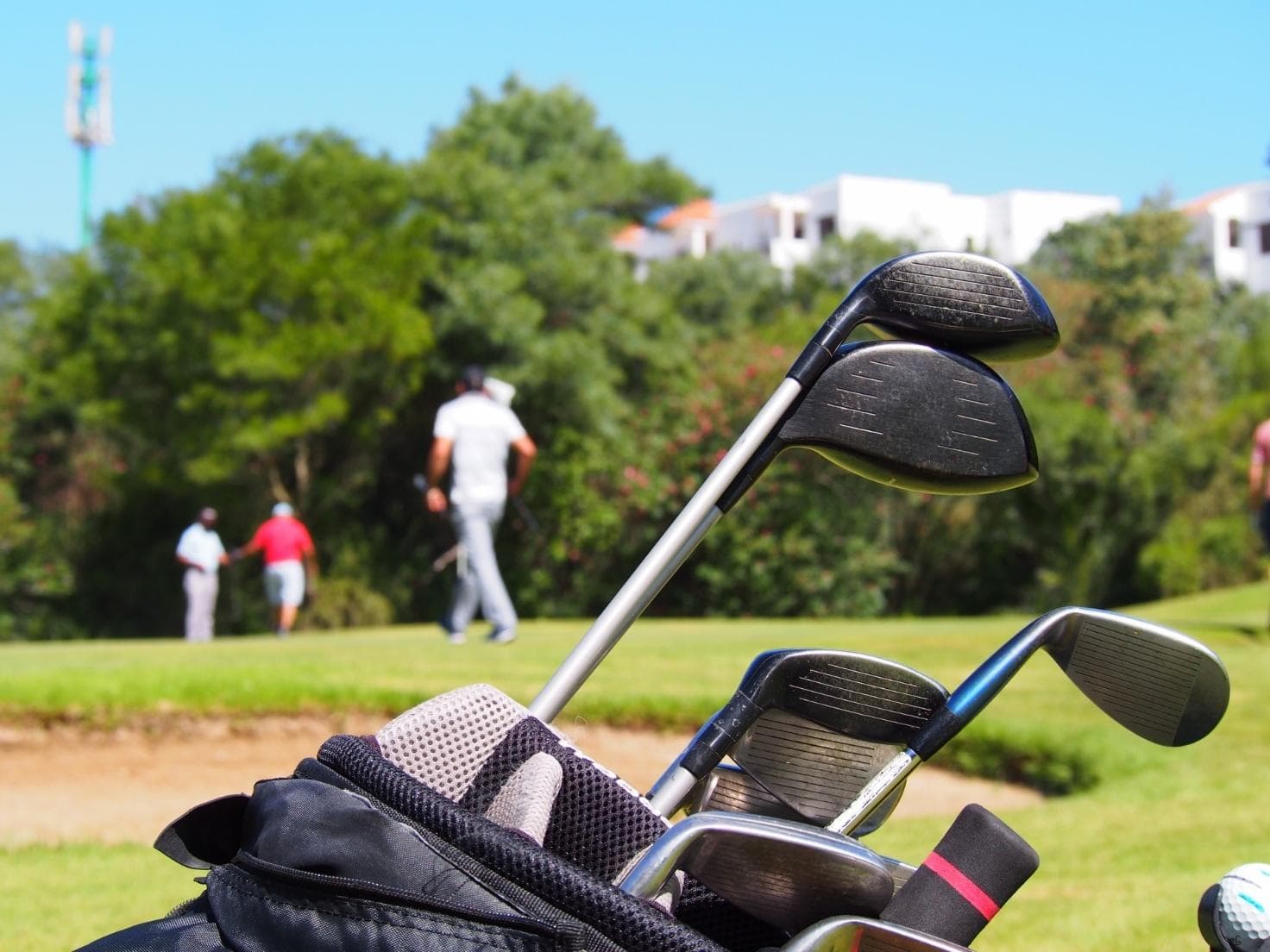 会社のゴルフコンペってどんなもの？