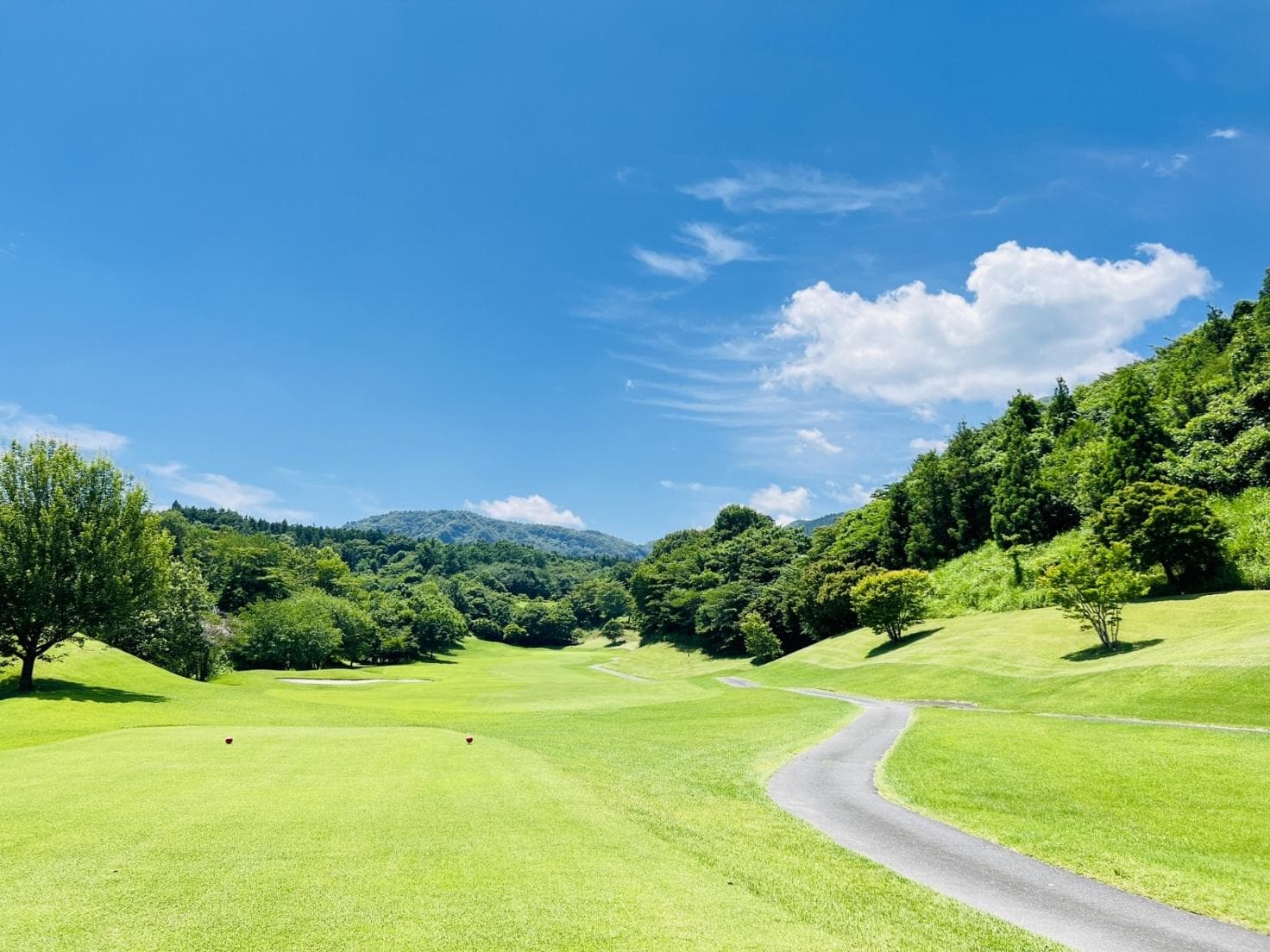 春の芝の特徴とプレーへの影響