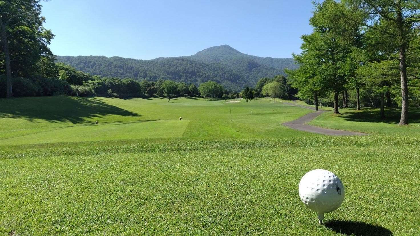 夏の芝の特徴とプレーへの影響