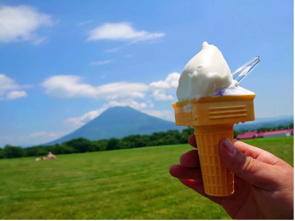 北海道お取り寄せグルメおすすめ7選!
