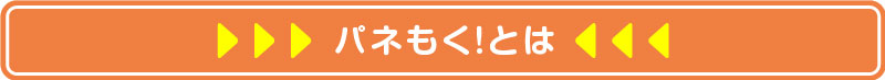 パネもく!とは