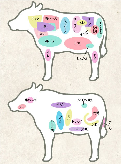 肉の部位についてお教えします！