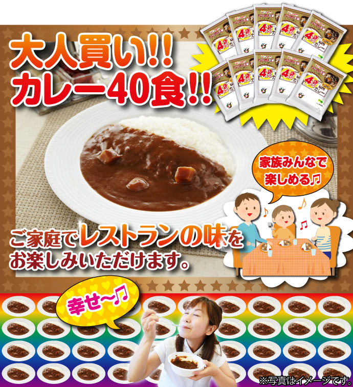 大人買い!カレー40食セット