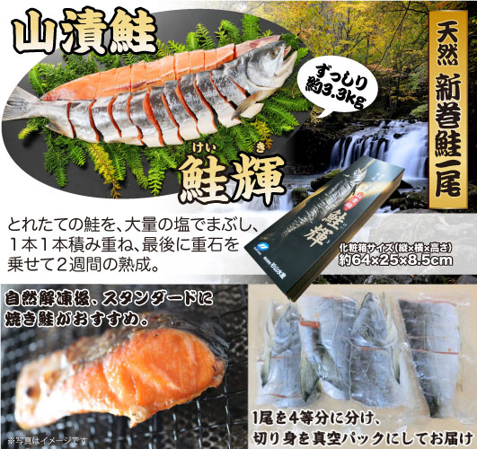 北海道産!天然新巻鮭一尾