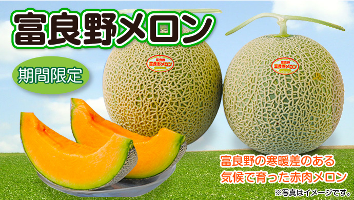 富良野メロン