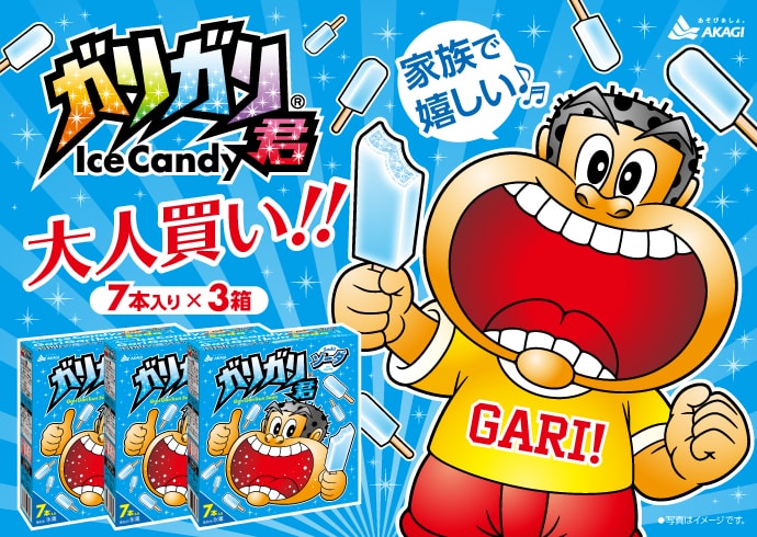大人買い!ガリガリ君