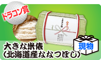 ドラコン賞！大きな米俵(北海道産ななつぼし)