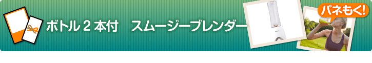 ボトル2本付 スムージーブレンダー