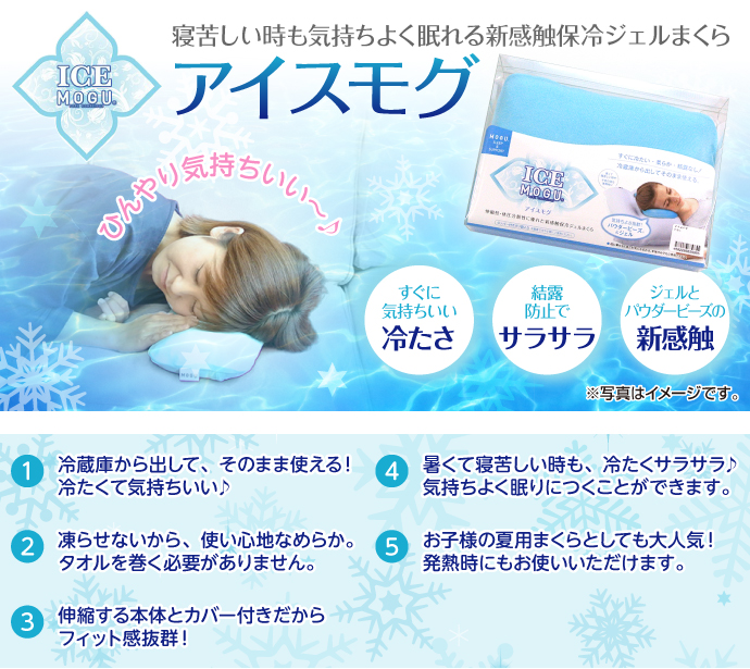 ICE MOGUアイスモグ【現物】