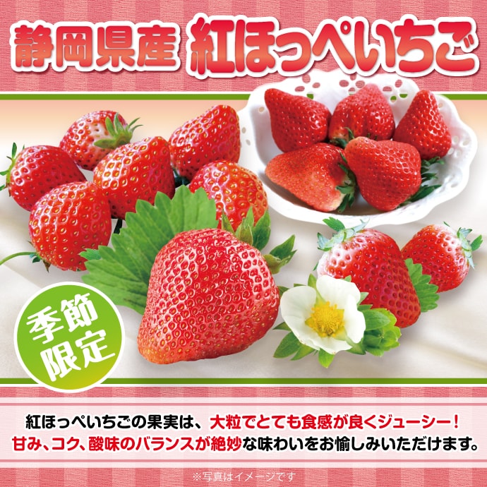 <季節限定>【パネもく!】静岡県産 紅ほっぺいちご600g(A4パネル付)