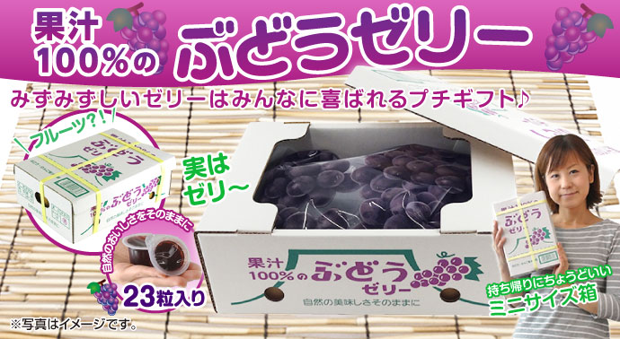 果汁100%ぶどうゼリー【現物】