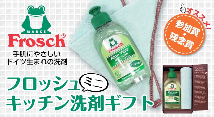 フロッシュ ミニキッチン洗剤ギフト【現物】