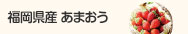 福岡県産あまおう
