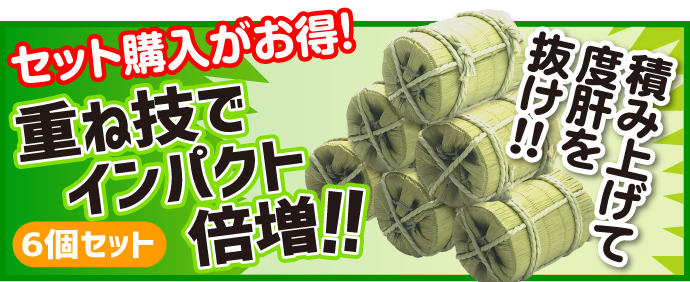 小さな米俵(魚沼産こしひかり)