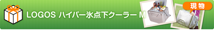 LOGOS ハイパー氷点下クーラーM