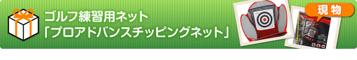 ゴルフ練習用ネット「プロアドバンスチッピングネット」【現物】