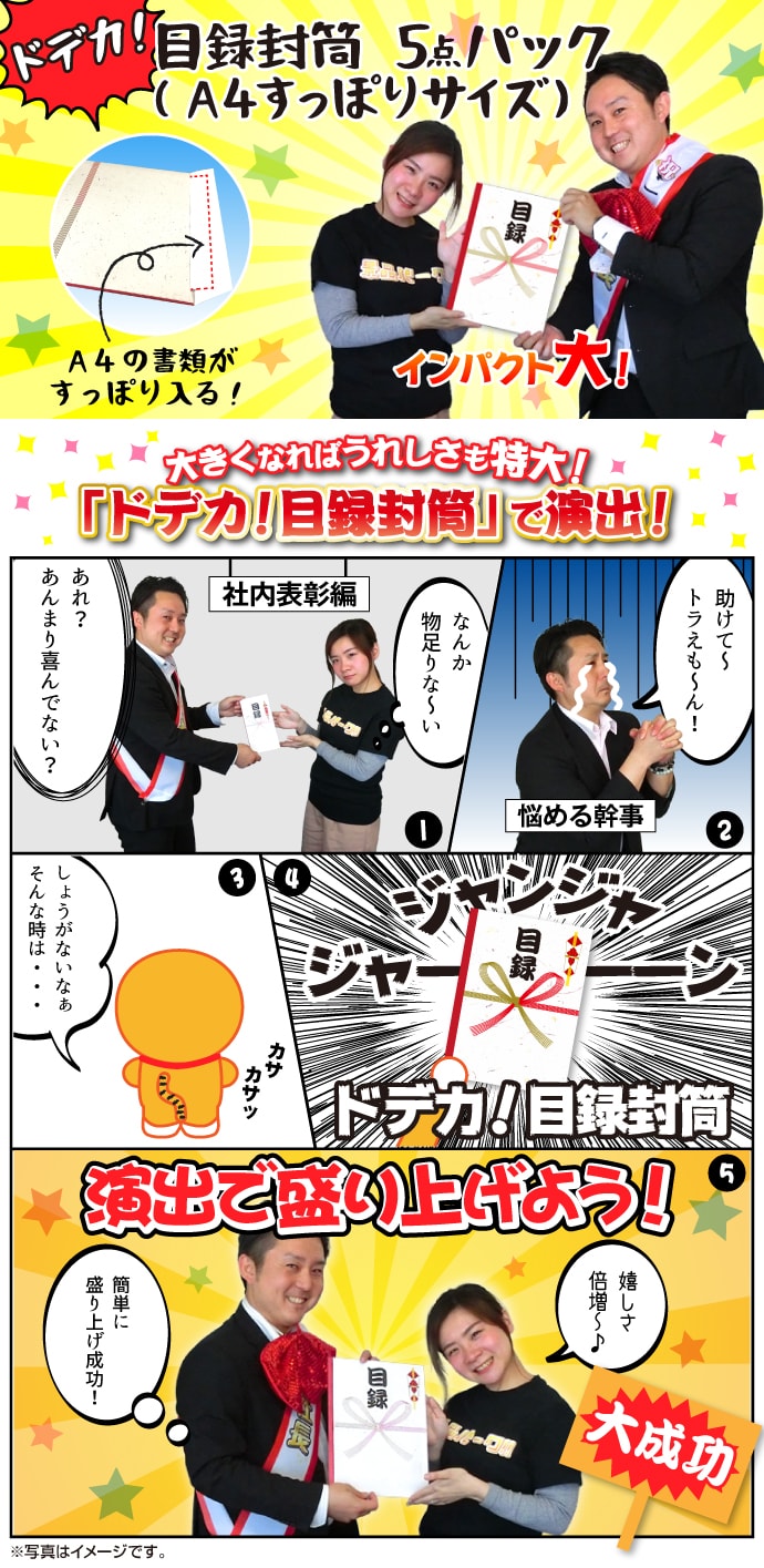 ドデカ!目録封筒 5点パック(A4すっぽりサイズ)