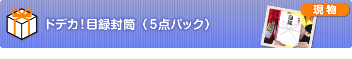 ドデカ!目録封筒 5点パック(A4すっぽりサイズ)