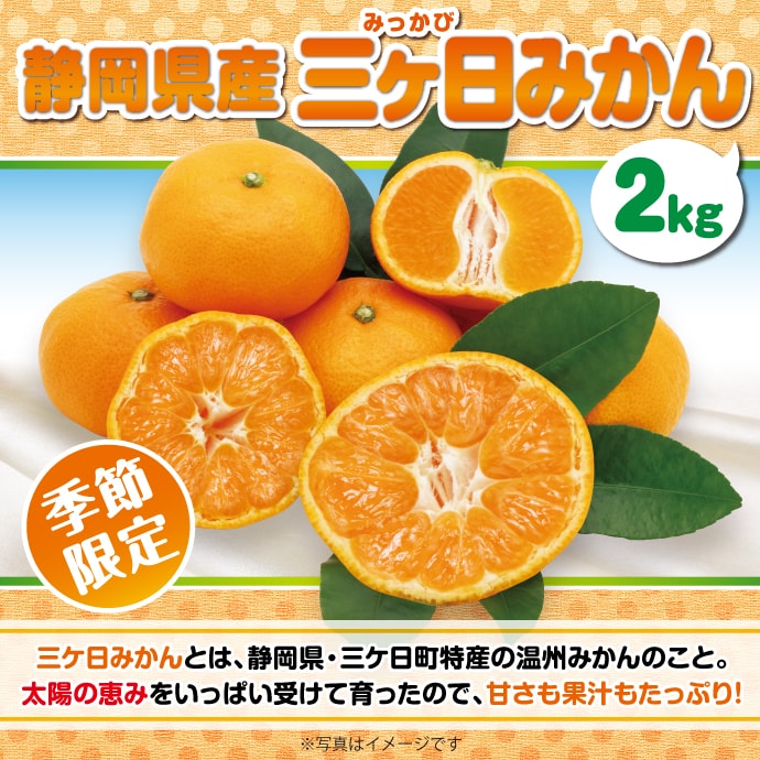 <季節限定>【パネもく!】静岡県産 三ケ日みかん2kg(A4パネル付)