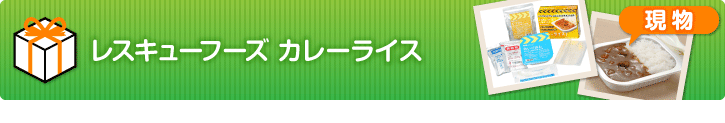 レスキューフーズ カレーライス【現物】