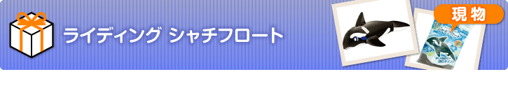 ライディング シャチフロート【現物】