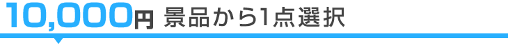 10,000円から選ぶ