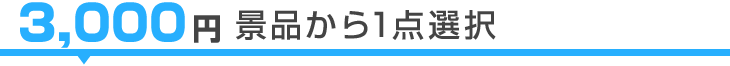 選べるデジもくセット