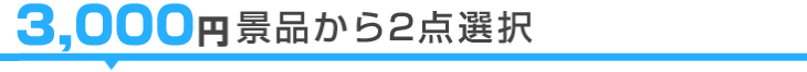 3,000円景品から2点選択