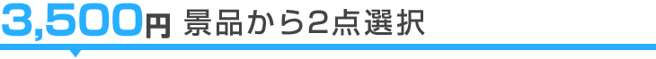 3,500円景品から2点選択