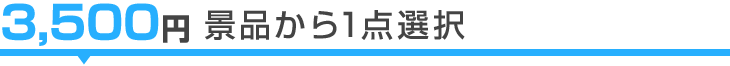 3500円から選ぶ