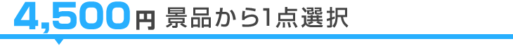 4,500円景品から1点選択