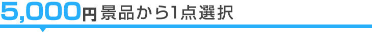 5,000円景品から1点選択