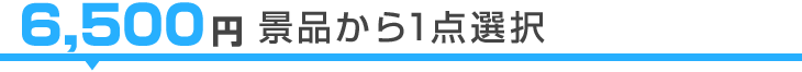 6,500円景品から1点選択