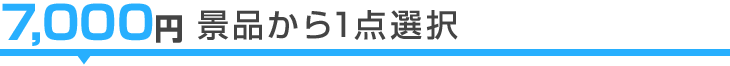 7,000円景品から1点選択