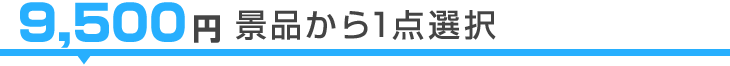 9,500円景品から1点選択