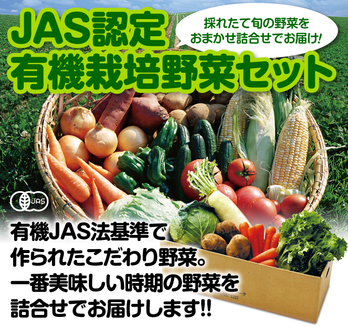“JAS認定 有機栽培野菜セット