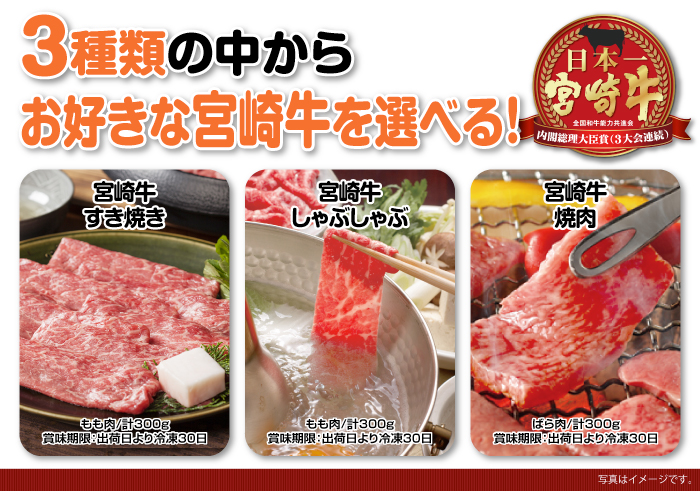 特撰!宮崎牛 花コース