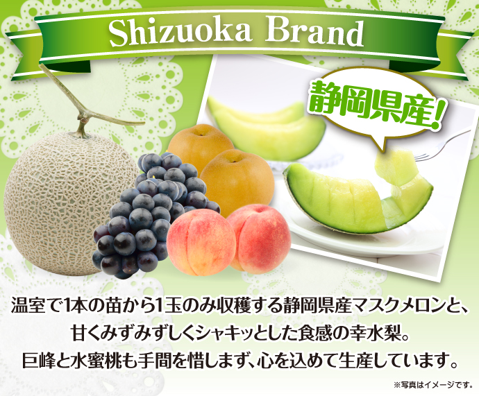 静岡県産!マスクメロンとフルーツ盛り合わせ