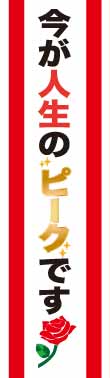 たすき(今が人生のピークです)【現物】