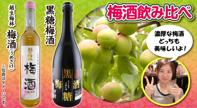 選べる新潟銘酒