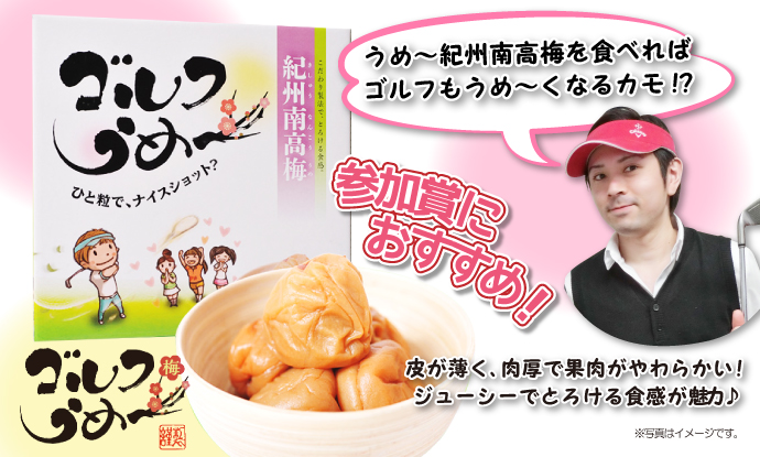 紀州南高梅 梅干 ゴルフうめ〜【現物】