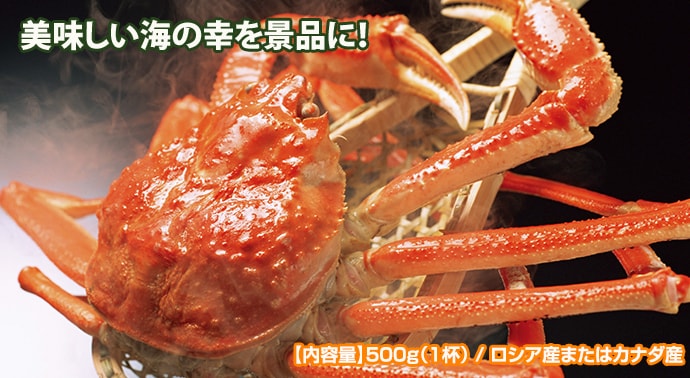 釜ゆで姿ずわいがに