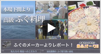 当社提携の下関直送ふぐ